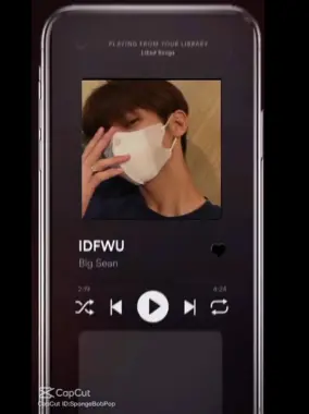 IDFWU Big Sean Capcut Template